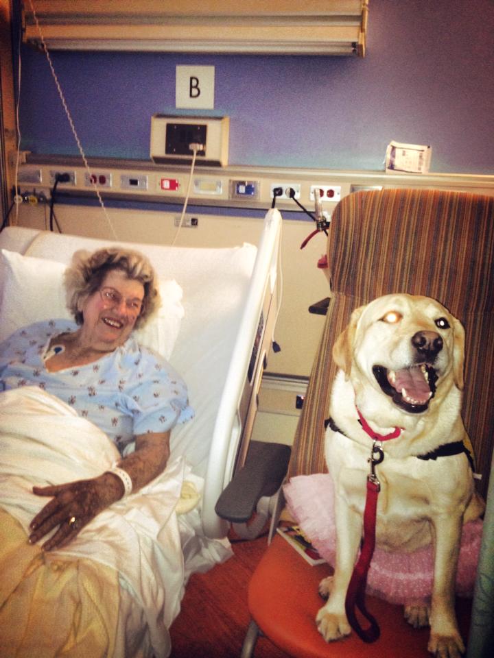 Don't Let What Is Urgent Distract from What Is Important. Inspiring Life Reminder From My Heart To Yours. 