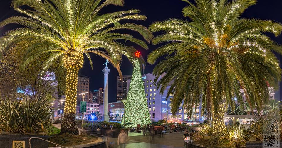 Beautiful Photo of our San Francisco Christmas Tree in Union Square taken by my good friend and talented photographer Larry Wong.